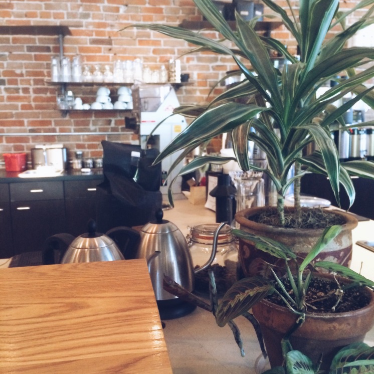 House plants in a coffee shop - Genuis